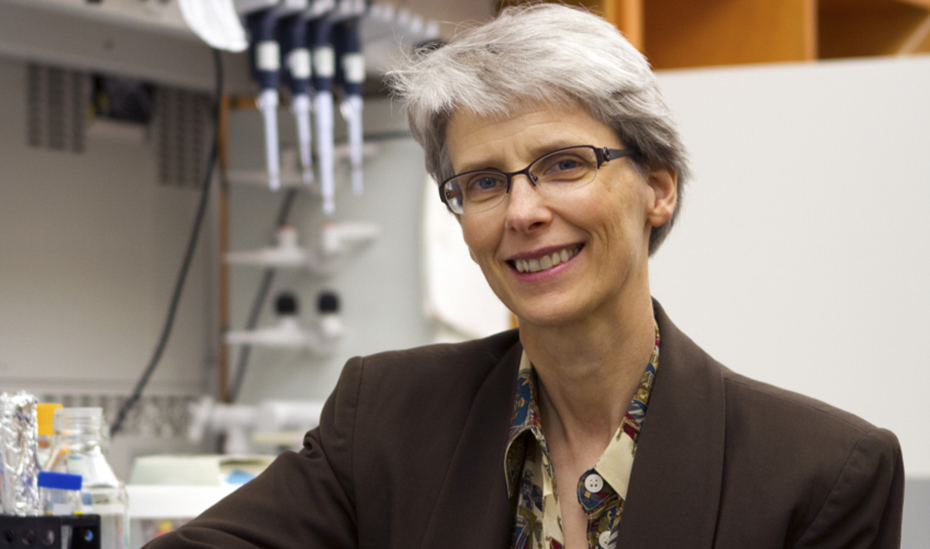 photo of Nancy Allbritton in lab