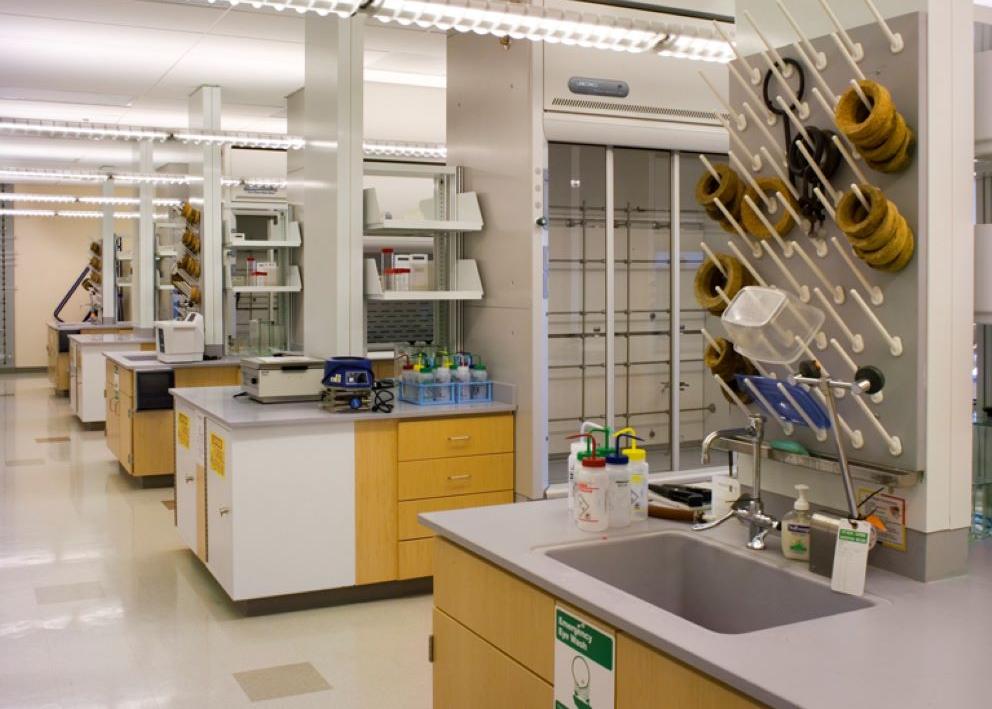 chemical benches inside lab of Multidisciplinary Research Building